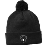 Beanie - 2 color options