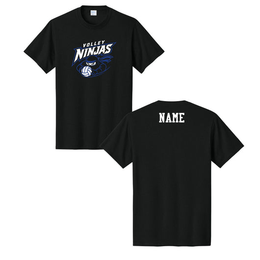 D4 - Volley Ninjas